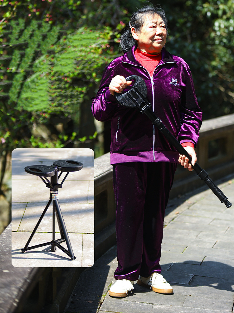 Multifunctional Walking Stick  - đánh giá và giá Outdoor Furniture Metal