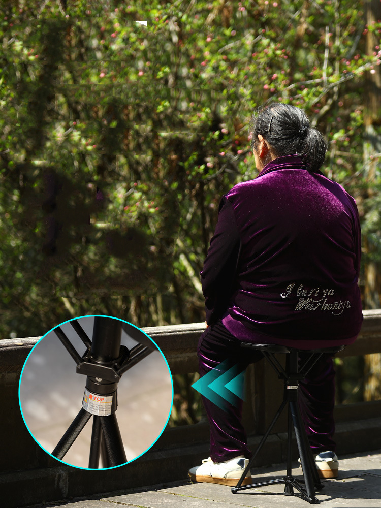 Multifunctional Walking Stick  - đánh giá và giá Outdoor Furniture Metal